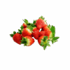 Dâu đỏ